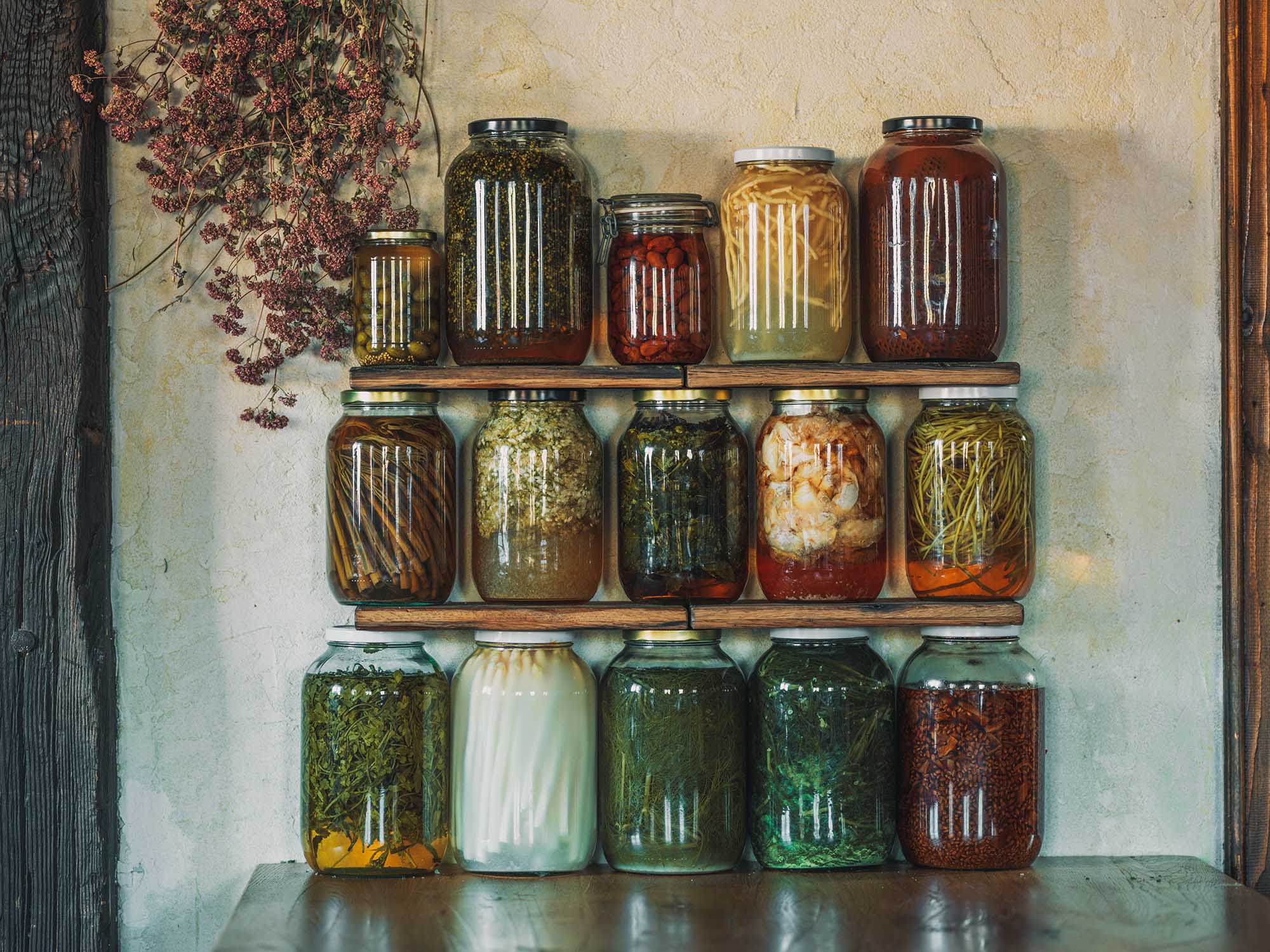 Fermentation
