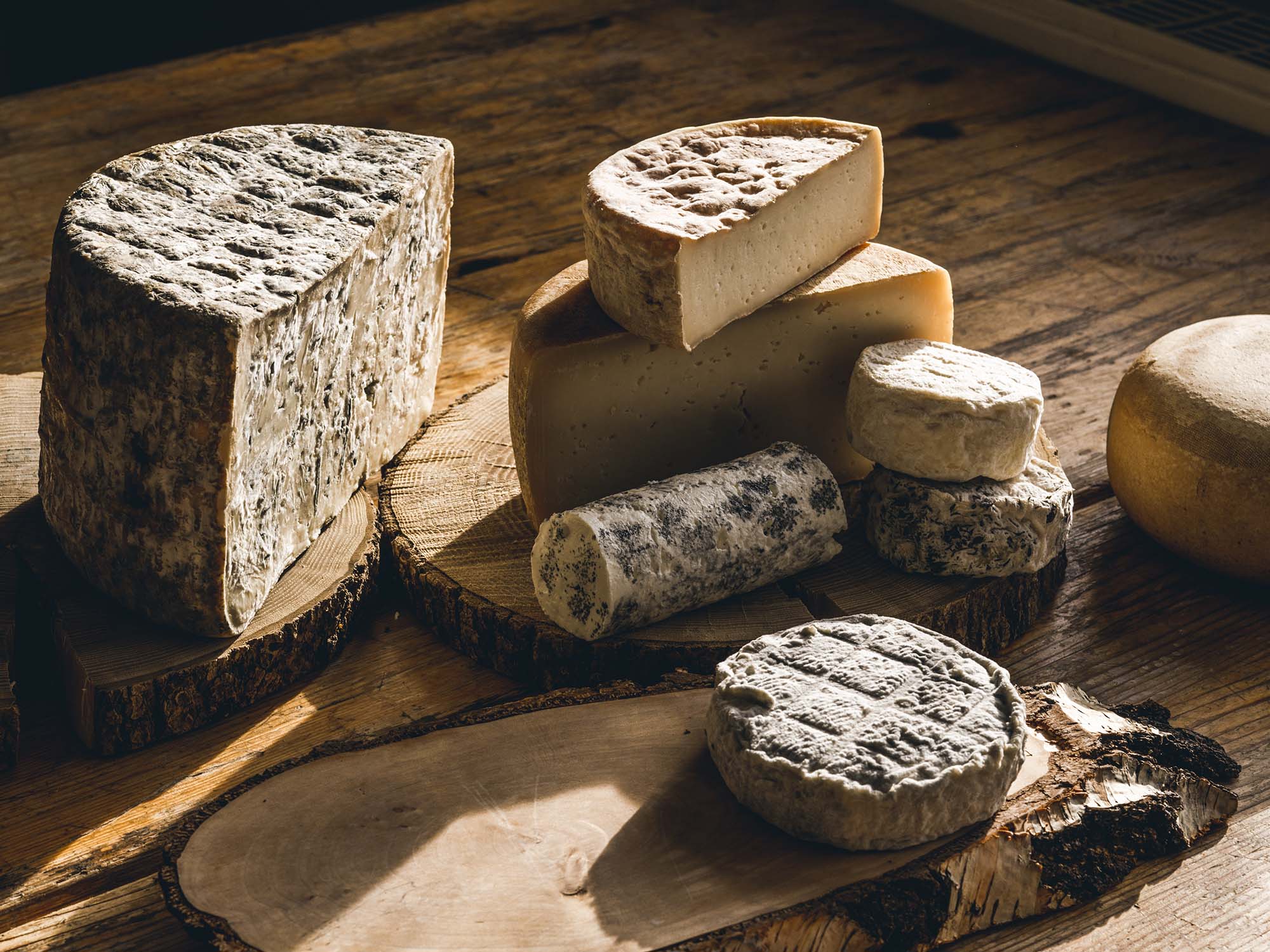 Cheese producer Orešnik
