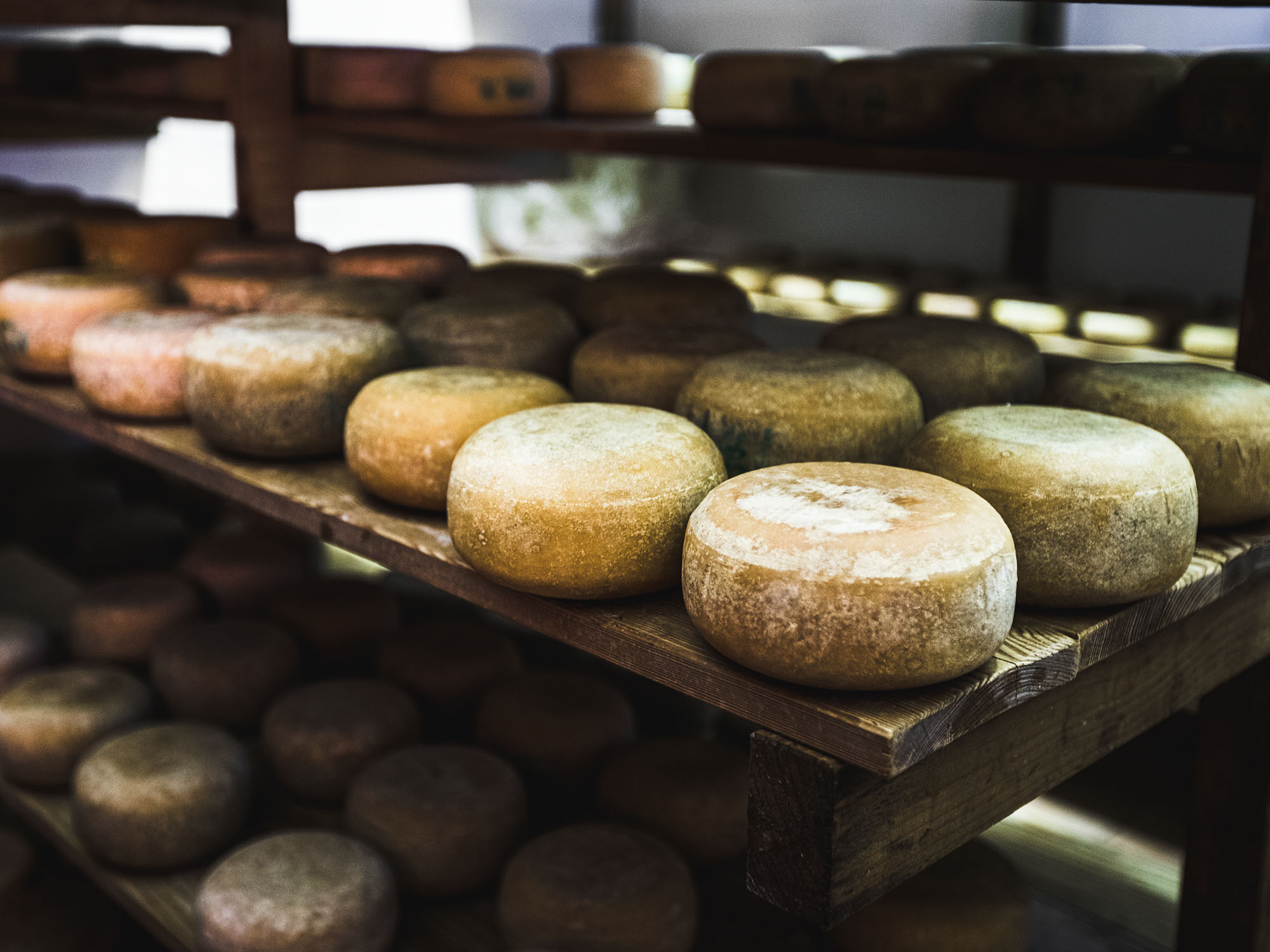 Orešnik Cheese
