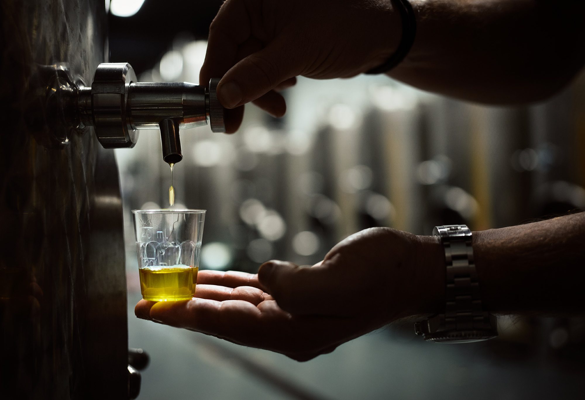 Točenje oljčnega olja vrhunske kakovosti