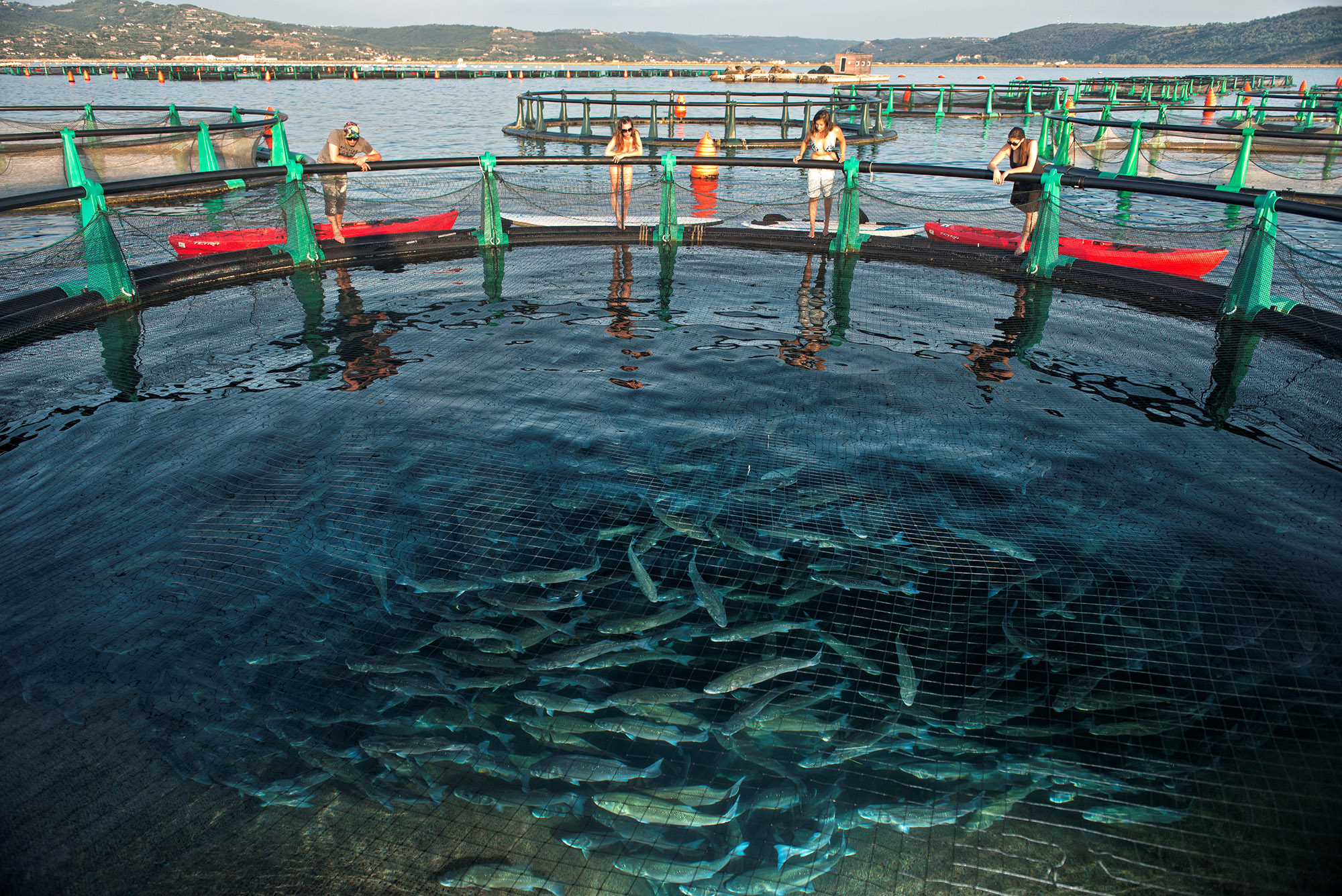 fish farm tour