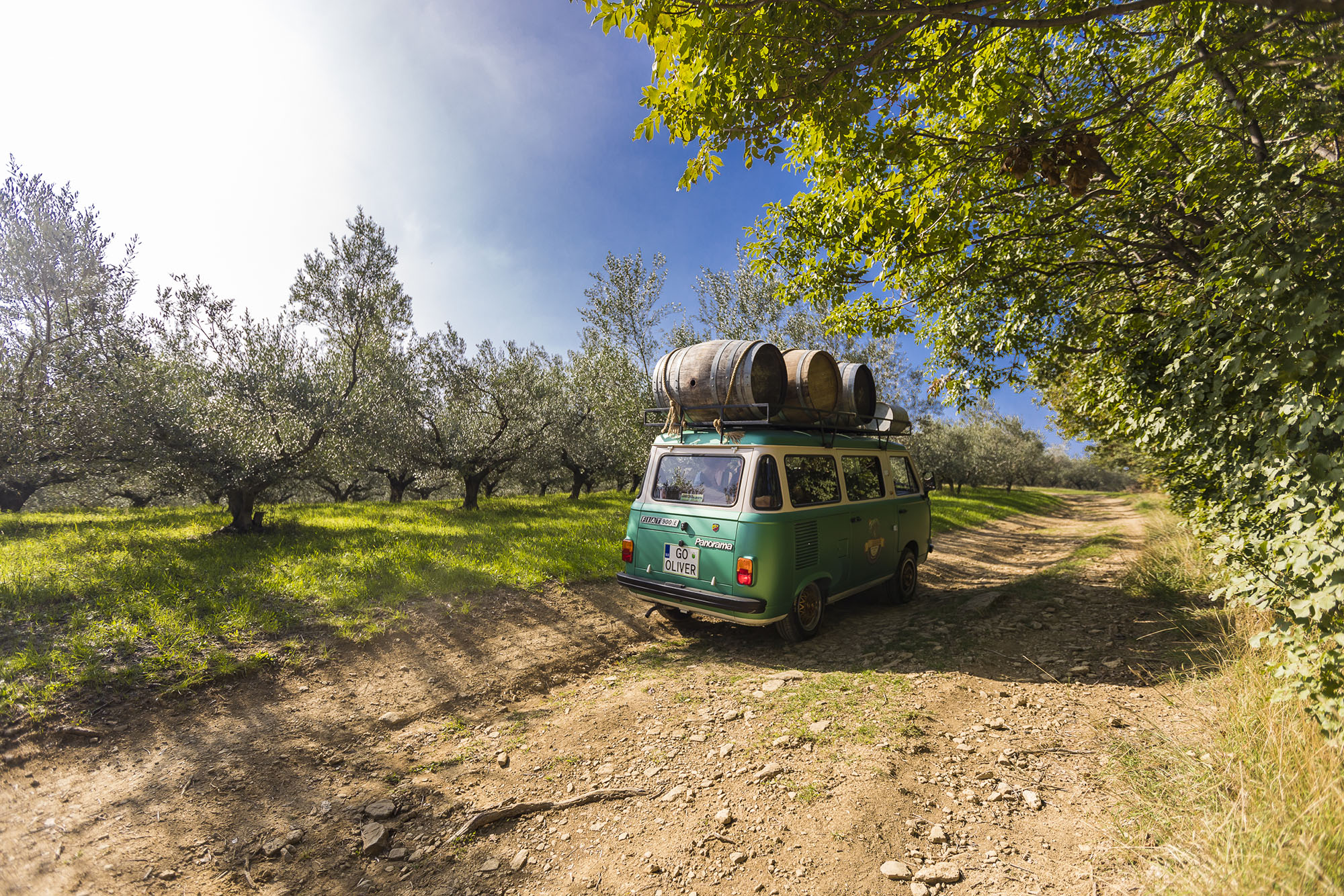 a roadtrip with vintage vans