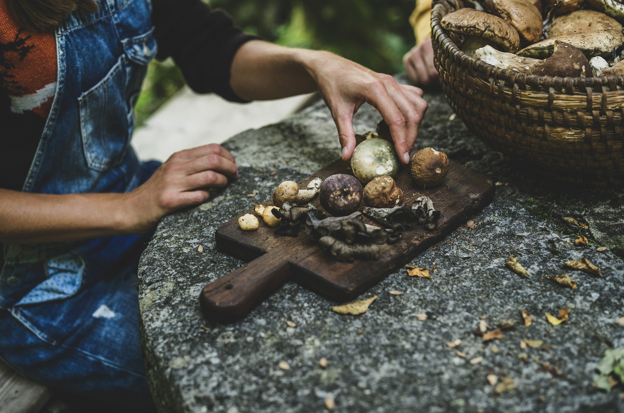mushrooms